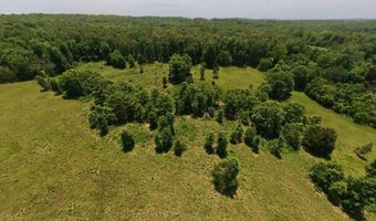 County Road 113, Alton, MO 65606