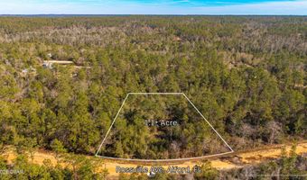 Rossville Avenue, Alford, FL 32420