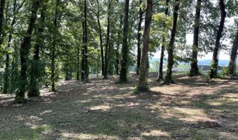 141 Twin Church Rd, Bean Station, TN 37708