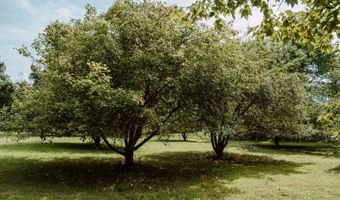 10635 Co Rd Y-500-B, Ava, MO 65608