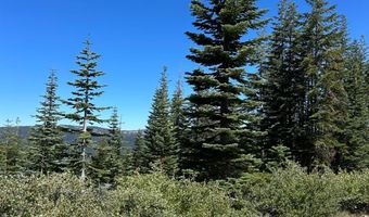 39 Liberty Rd, Arnold, CA 95223
