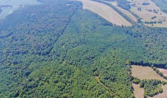 0 CR 320, Big Creek, MS 38914