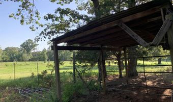 277 CR 2958, Alba, TX 75410