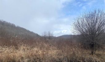 Cr-38, Alma, NY 14708