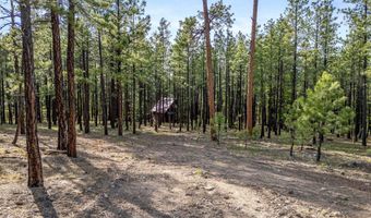 15 Co Rd 2083, Alpine, AZ 85920