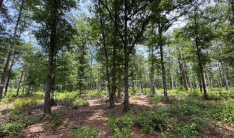 Fox Paw Court, Branchville, SC 29432