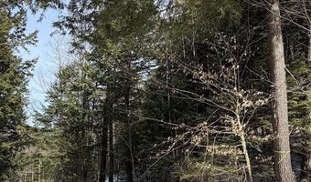 Hodgdon Road, Alexandria, NH 03222