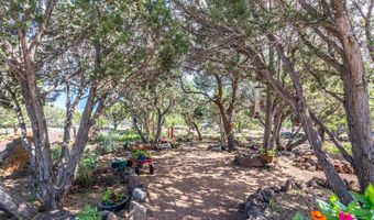 33 CR 8099 Dr, Concho, AZ 85924