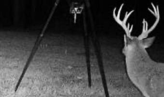 0 Hwy 14, Aliceville, AL 35442