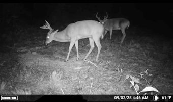 644 Ash-harrel Loop, Abbeville, GA 31001