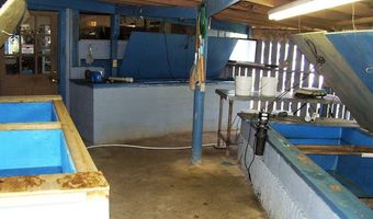 1204 HWY 32 E, Ashdown, AR 71822