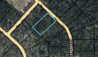 Fairview Road, Alford, FL 32420