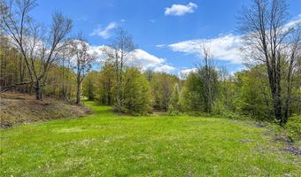 State Route 28 lot # 10, Andes, NY 13731