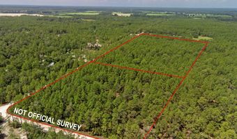TBD 65th St, Bell, FL 32619