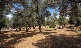 450 SUMMERHILL Ct, Alpine, CA 91901