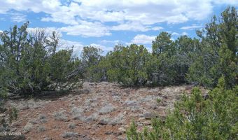 74 Co Rd, Concho, AZ 85924