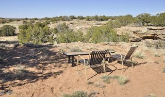 12 County Rd N8543, Concho, AZ 85924