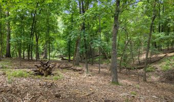 Pheasant Circle Lot 56 Block 2, Afton, OK 74331