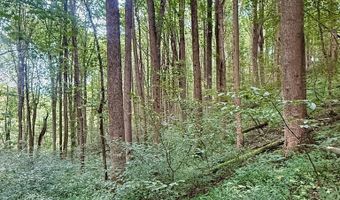 Conover Ln, Atkins, VA 24311