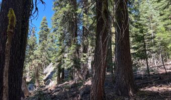 2 Blue Rock Trl, Arnold, CA 95223