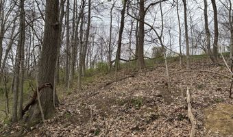 14 Dove, Athens, OH 45701