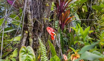 29-2828 KAIWIKI HOMESTEAD Rd, Hakalau, HI 96710