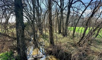 0001 CR-290, Asbury, MO 64832