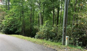 Basswood, Banner Elk, NC 28604
