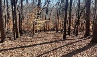 Flint Ridge Road lot 6, Albemarle, NC 28001