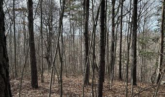 Highway 105, Baldwin, GA 30511
