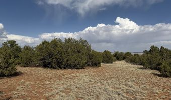 291 County Rd 8052, Concho, AZ 85924