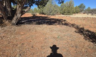 2 E Raney Rd, Ash Fork, AZ 86320