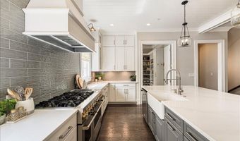 204 Violet Garden Walk, Alpharetta, GA 30004