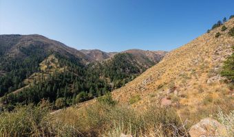 0 Pine Acres Way, Bellvue, CO 80512