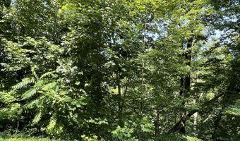 Stoneway Court lot 926, Baneberry, TN 37890