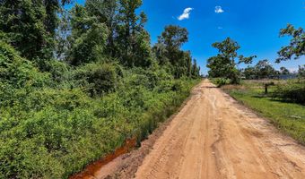 Lot # 1 - 6.2 Ac Perry Horton, Adrian, GA 31002