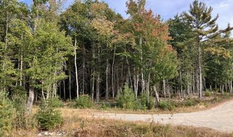 Bluff Road lot 5, Bar Harbor, ME 04609