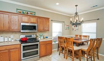 2041 Helmoken Falls Dr, Anna, TX 75409