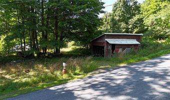 390 Hall Rd, Afton, NY 13730