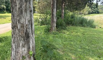 000 Gin Hill Rd, Ash Flat, AR 72513