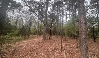 UNIT # 263B KIAMICHI WILDERNESS RD Unit # 63 63, Antlers, OK 74523