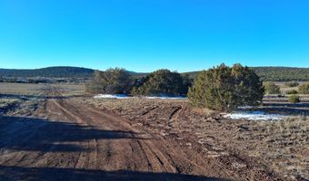 286 County Rd, Concho, AZ 85924