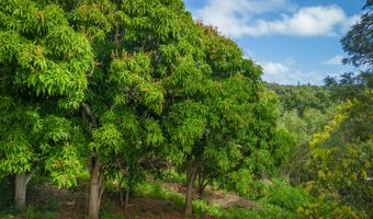 APOPO RD, Kapaa, HI 96746