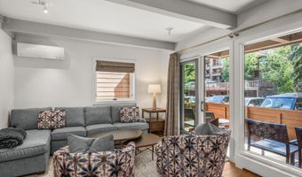 610 S West End St Unit K103, Aspen, CO 81611