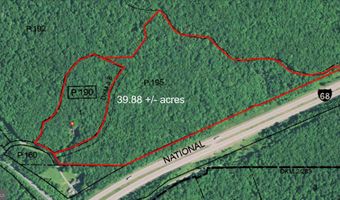 2461 OLD MORGANTOWN Rd E, Accident, MD 21520