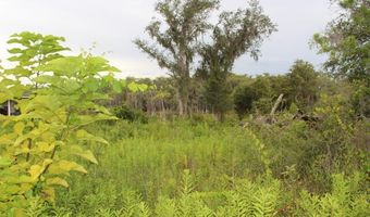 21558 NW Lake Mckenzie Blvd, Altha, FL 32421