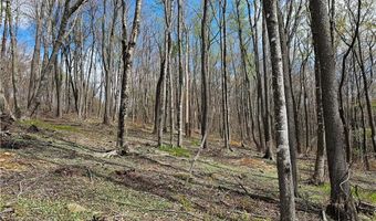 65 Rippling Waters Trl, Banner Elk, NC 28604