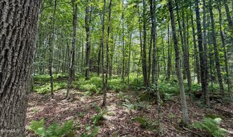Jacobs Ladder Rd lot 9, Becket, MA 01223