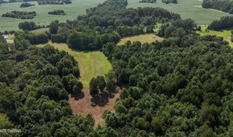 Poplar Springs Road, Atwood, TN 38220