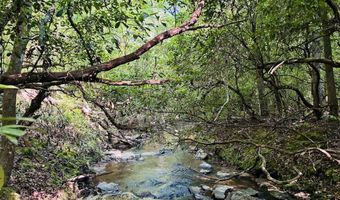 Creek Road lot 4, Ashland, AL 36251